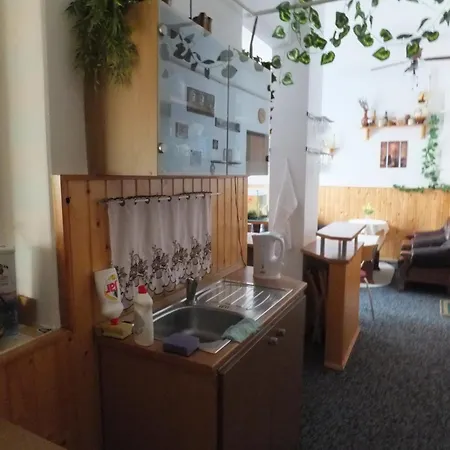 Guest house U Kovare